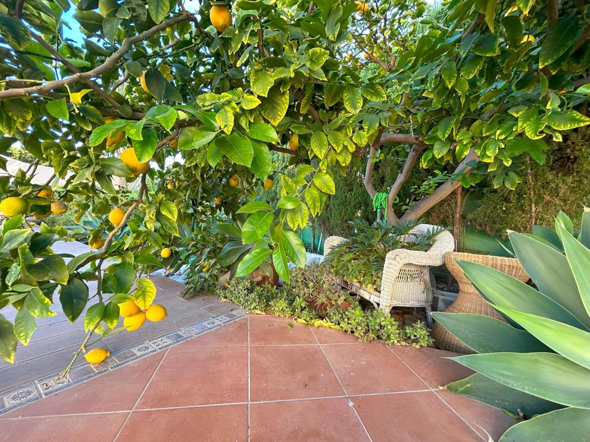 Casa Luna Llena Calpe Bagian luar foto